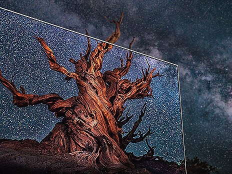 4. Quantum HDR 16X