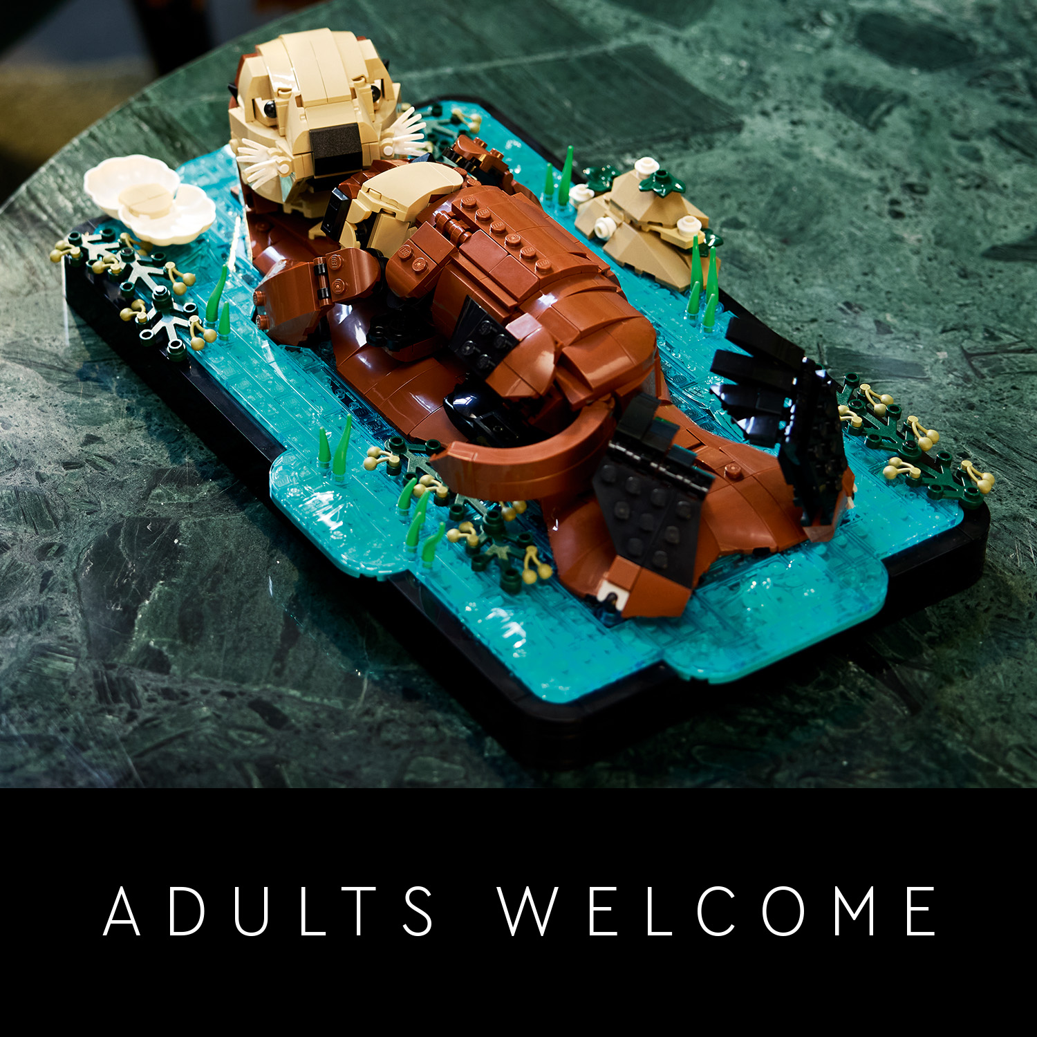 Divan poklon za ljubitelje životinja