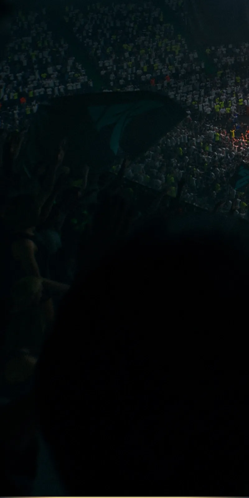 EA Sports FC 26, pozadinska slika koja prikazuje publiku i teren tijekom utakmice